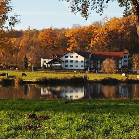 Landgasthof Rotlipp Gaestezimmer Ortenberg  外观 照片