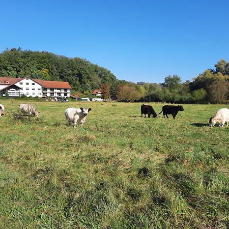Landgasthof Rotlipp Gaestezimmer Ortenberg  外观 照片