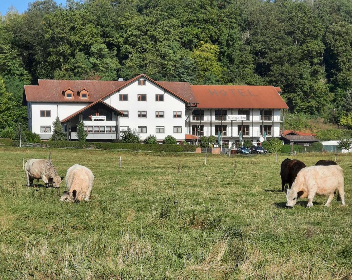 Landgasthof Rotlipp Gaestezimmer Ortenberg  外观 照片