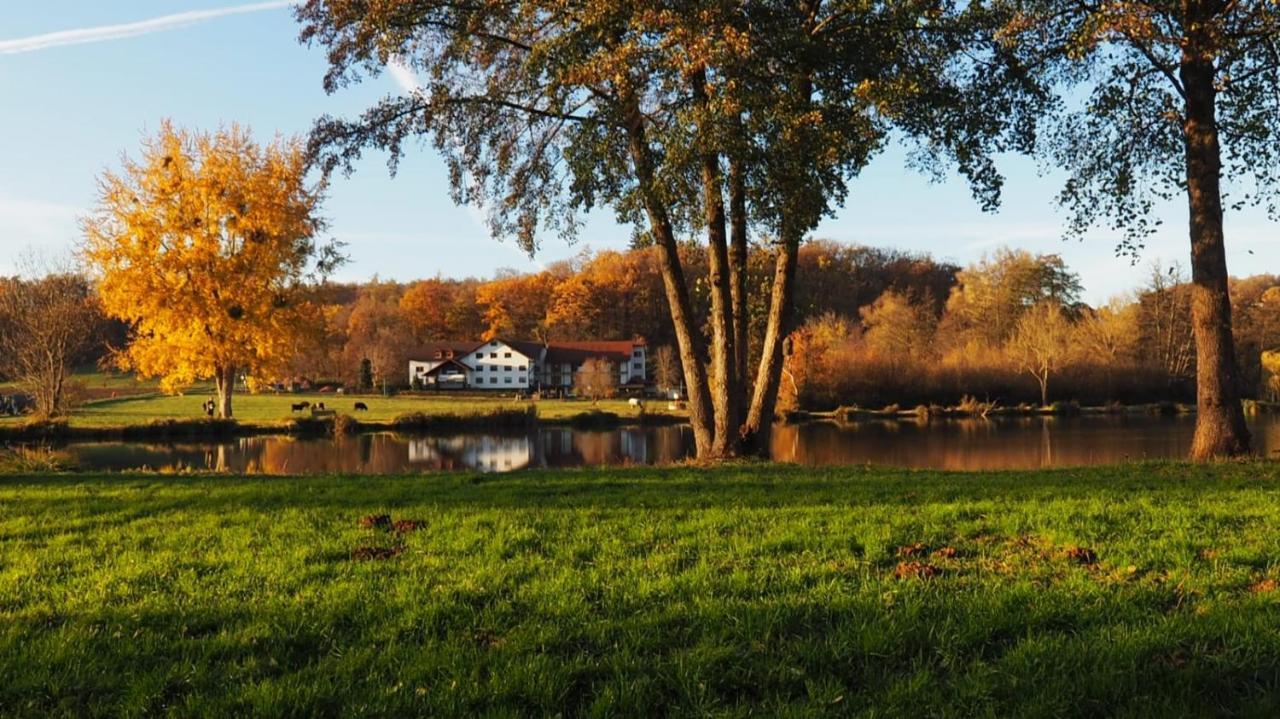 Landgasthof Rotlipp Gaestezimmer Ortenberg  外观 照片
