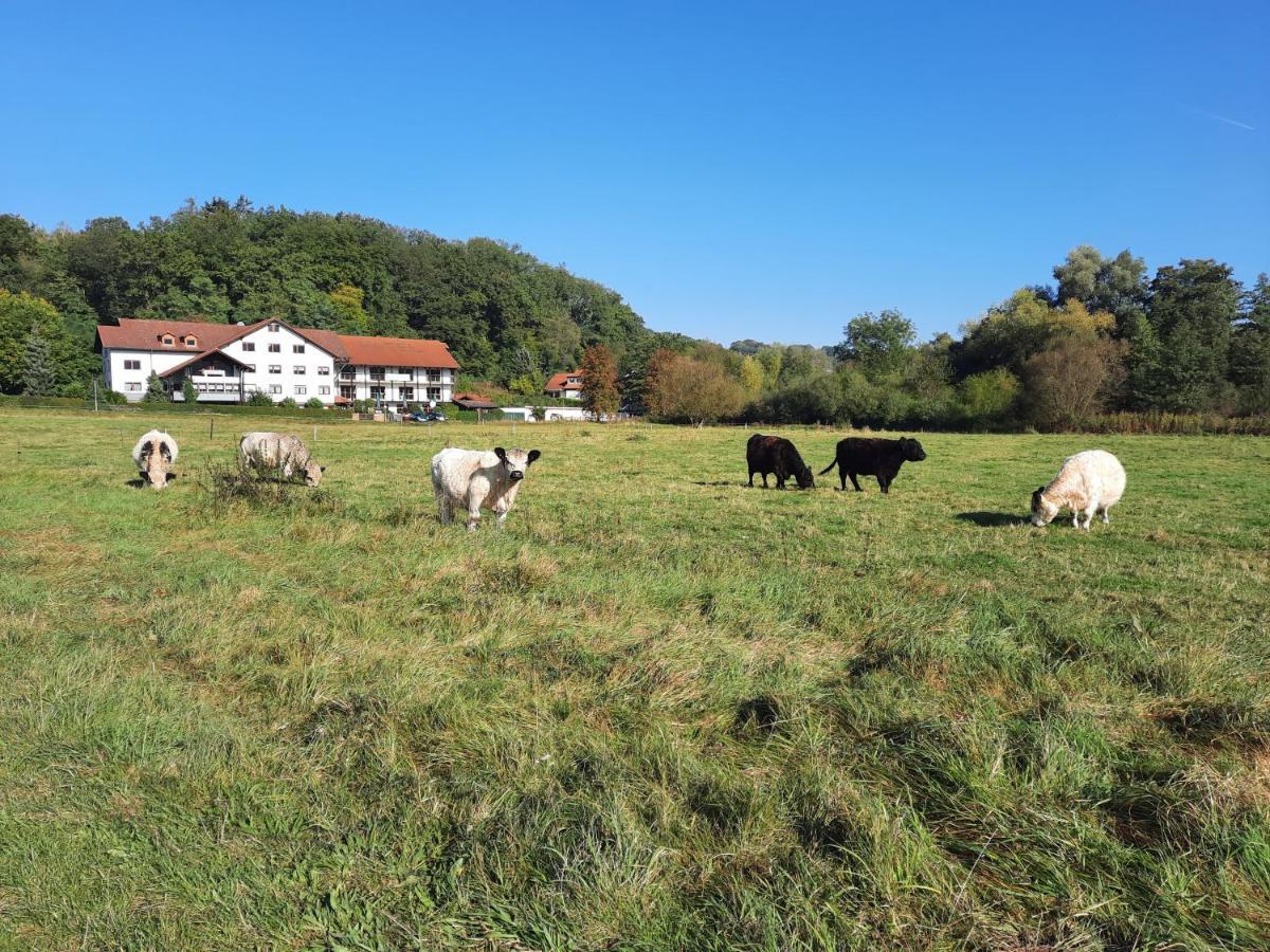 Landgasthof Rotlipp Gaestezimmer Ortenberg  外观 照片